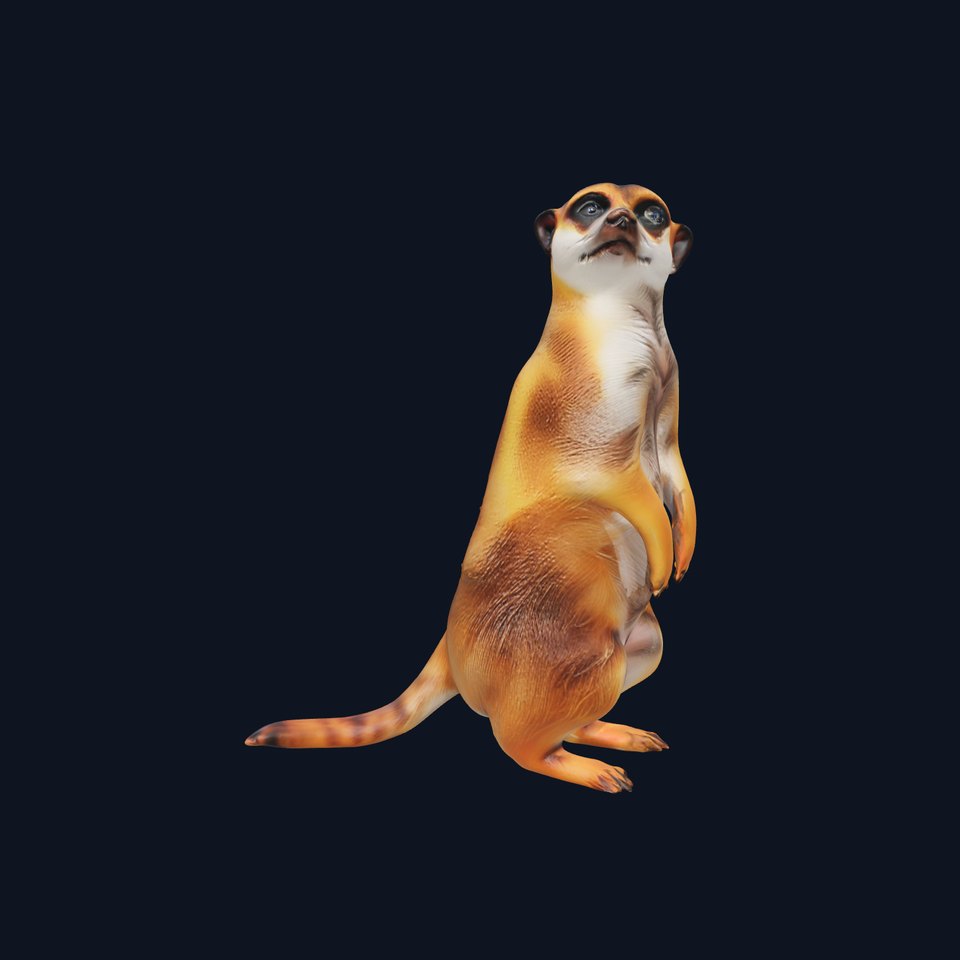Stylish Meerkat model pack